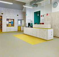 Forbo Marmoleum Solid Concrete 3733-373335 yellow shimmer фото 3 | FLOORDEALER
